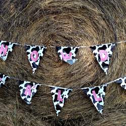 Lanie's 6th Birthday - Glitzy Cowgirl