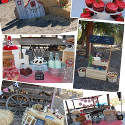 Barnyard/Farm Birthday Party - Farm, Barnyard