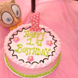 Look Whooo's turning 1 - Owls
