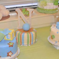 shan's baby shower - None