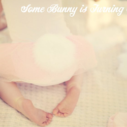 Some Bunny is One - None