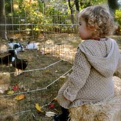 Barnyard Bash - Farm Animals