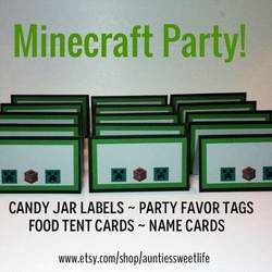 Minecraft - Minecraft Birthday Party