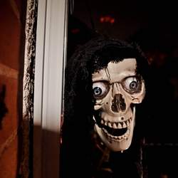 Halloween 2013 - None