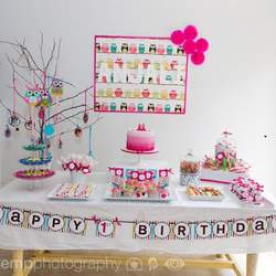 Anjali first birthday party - Owls