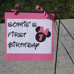 Sophie's Minnie Mouse First Birthday - Minnie Mouse