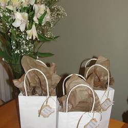 Beatriz's baptism - None