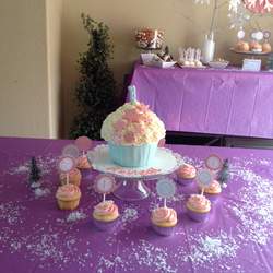 Abbigail's 1st Birthday  - winter wonderland