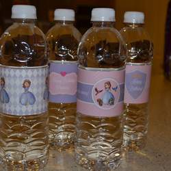 Sophie's "Sofia The First" Birthday Party - Sofia the First
