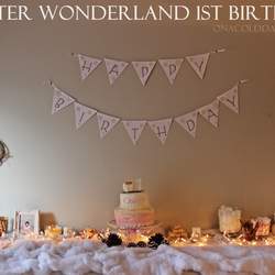 Odina's 1st Birthday - Winter Owls