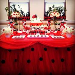 Julianne's 1st birthday  - Ladybug Birthday Party