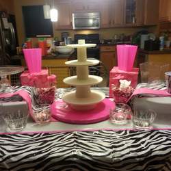 Makayla's Favorite Things (spa party) - Zebra & Hot Pink  spa