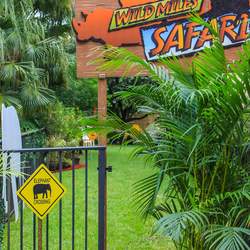 Mile's Wild Safari - Safari Adventure
