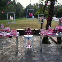 7 year  birthday party - Butterfly Garden