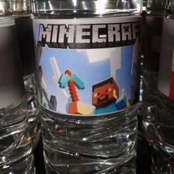 Minecraft Party - Minecraft