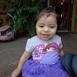 Sofia the first inspired party - Sofia the First