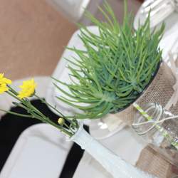 Celebrating Baby Mason - Woodland, Rustic, Garden, Nature