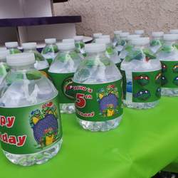 Cowabunga Dudes! It is Sayito's 5th Birthday - Teenage Mutant Ninja Turtles