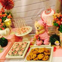 Madelynne's Baby Shower - Pink and Gray Shabby chic