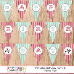 Airplane Birthday Party - Airplanes