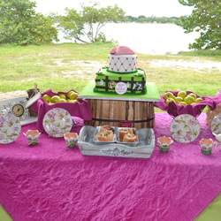 Sofia's Cowgirl Girly Farm Party - Cowgirl
