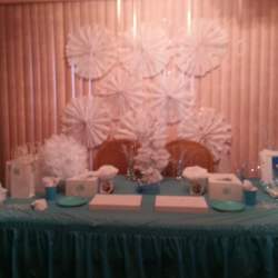 5th Birthday - Frozen inspired