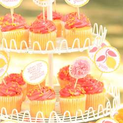 Lillian's 4th Birthday - Pink Lemonade