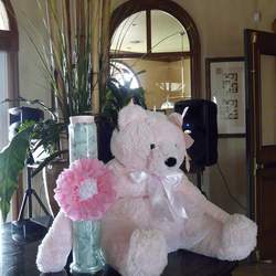 Tatiana the Pink Bear - Pink & Bears