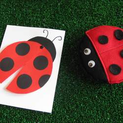 A Ladybug Bash! - Ladybug Birthday Party