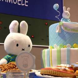 Miffy party - Miffy 