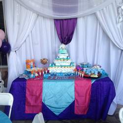 Sofi's Frozen Party - DISNEY'S FROZEN