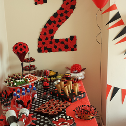 Urte's 2 birhday party - Ladybug Birthday Party