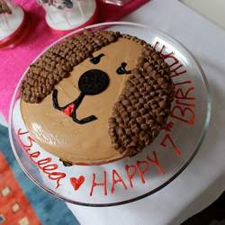 Bella;s 7th Birthday Party - Puppies and a Movie