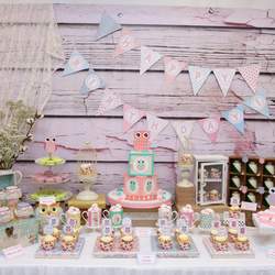 Janelle's First Birthday - Owl