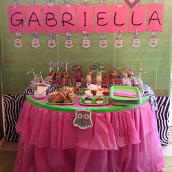 Gabriella 1st Birthday Party - Hot Pink, Lime Green and Zebra Owl First Birthday