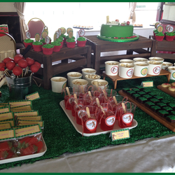 Henry's 6th Birthday - Cricket Party Theme