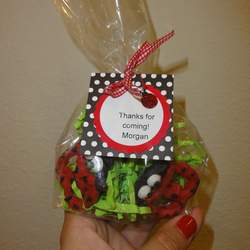 Morgan's Bug Bash - Ladybug Picnic