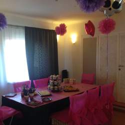 Ivana's 8 birthday party  - Monster High