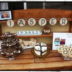 Who's Turning One? - An Owl and Circle Birthday
