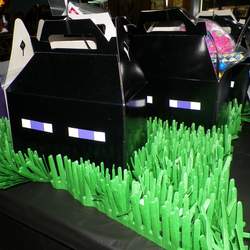 Minecraft Birthday Party  - Minecraft