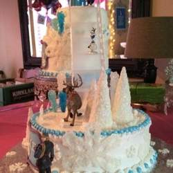 Ellie & Emmy's Frozen party - Disneys frozen 
