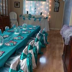 Sophia's Frozen Party - Disney Frozen