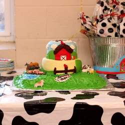 Pierson's 1st Birthday! - None