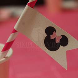 Minnie Mouse Birthday Party   - Minnie Mouse