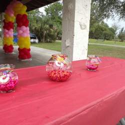 Zianna 1st birthday  - Elmo & Sesame Street
