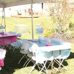 Olivia's 3rd Birthday - Cinderella