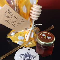 Save The Bees - Bumble Bees