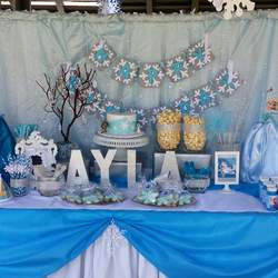 Ayla's 1st birthday party  - Frozen