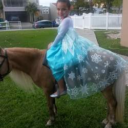 Loraine's birthday - Frozen
