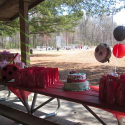 Emelynn's 2nd birthday party! - Ladybug
